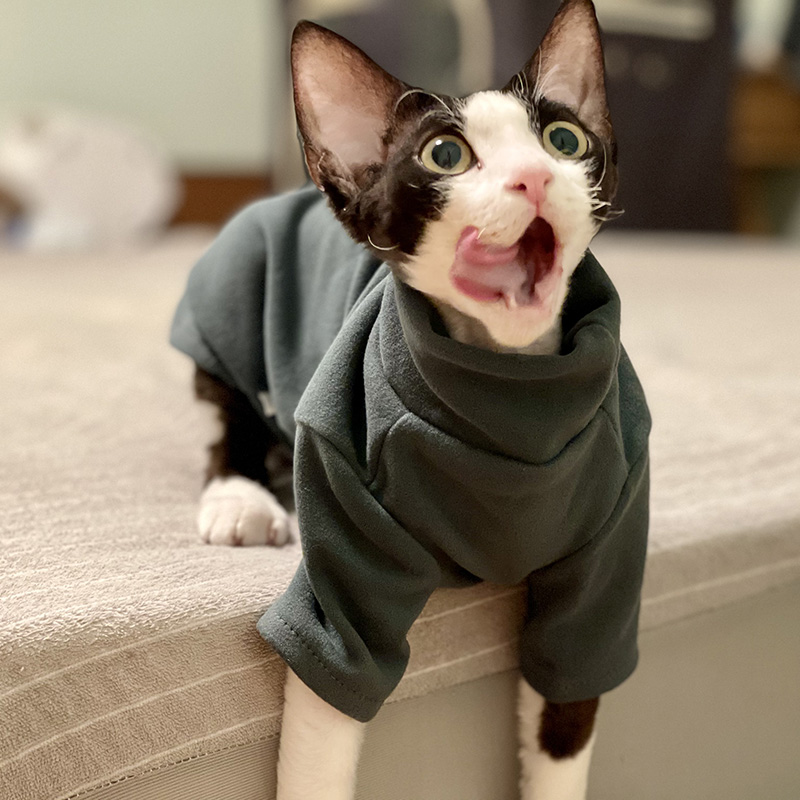 Winter Clothing For Toddlers - スフィンクス猫服ベビーソフトコットン秋冬子猫小型犬服コーンウォールデボン猫衣装無毛ペット服