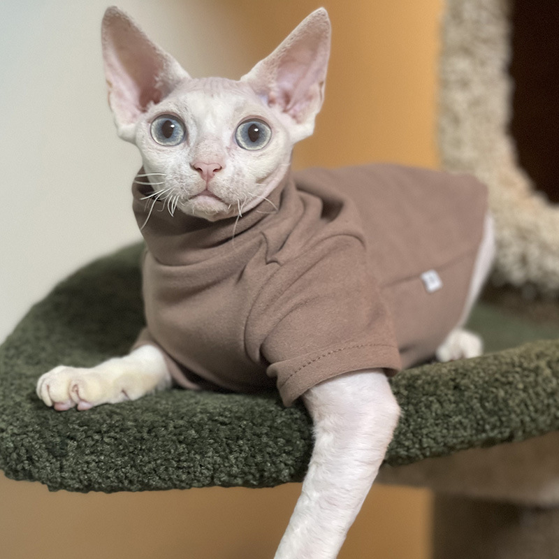 スフィンクス猫服ベビーソフトコットン秋冬子猫小型犬服コーンウ - Winter Clothing For Toddlers のレビューと価格
